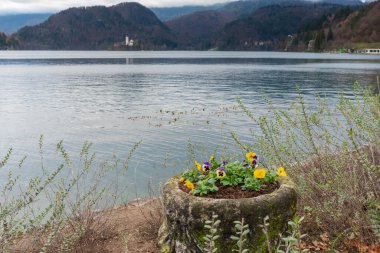 Bled Gölü manzaralı, Slovenya, Aralık 2018