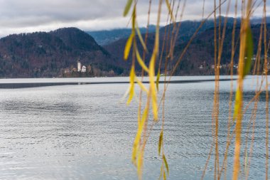 Bled Gölü manzaralı, Slovenya, Aralık 2018