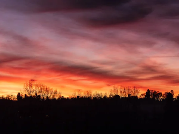 Belo Pôr Sol Floresta Fundo Natureza — Fotografia de Stock