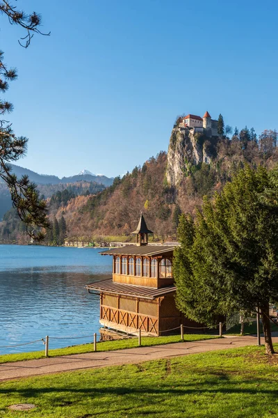 Beautiful Scenery Lake Church Bled — Stock Photo, Image