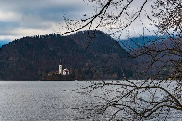 Belo Cenário Lago Bled — Fotografia de Stock