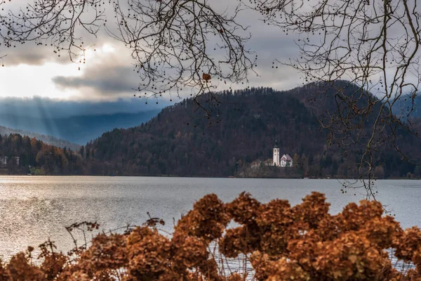 Vista Lake Bled Eslovênia Dezembro 2018 — Fotografia de Stock