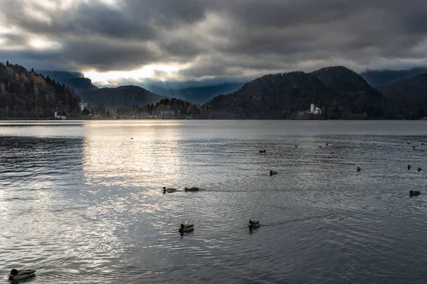 Lake Bled View Slovenia December 2018 — 스톡 사진