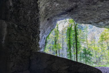 Dağ vadisi manzarası. Kayalık dağların arka planında bir taş, ortada kayalar.