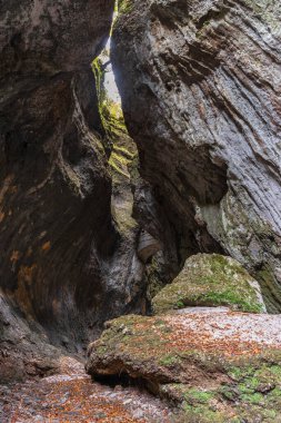 Güzel deniz manzarası
