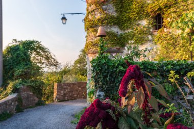 Şehrin güzel manzarası 