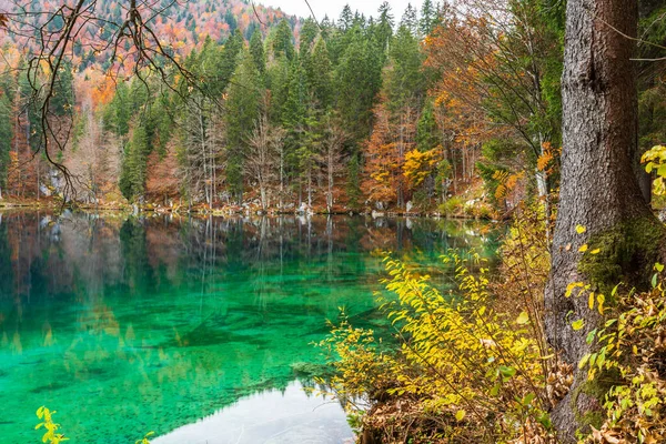 Beautiful Lower Lake Fusine Friuli Italy — Stock Photo, Image