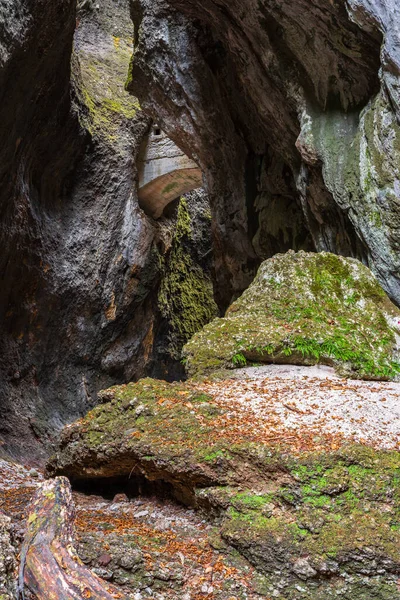 바위와 이끼가 아름다운 — 스톡 사진