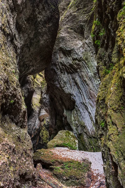 Скалистые Скалы Лесу — стоковое фото