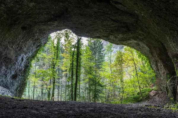 Beau Paysage Avec Montagnes Arbres — Photo