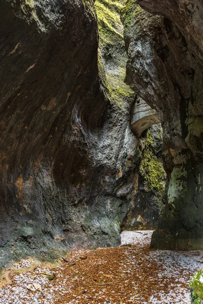 Falaise Rocheuse Dans Les Montagnes — Photo