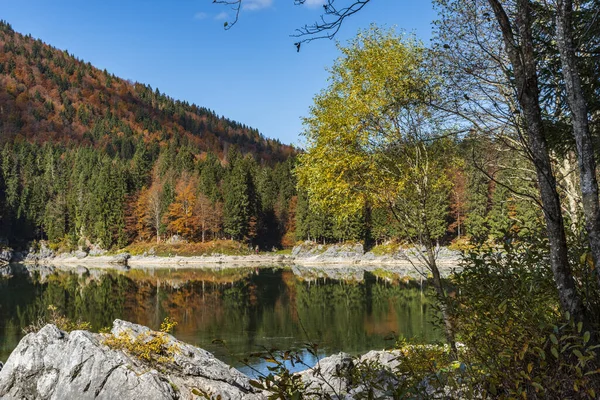 Ağaçlar Ormanlarla Dolu Güzel Sonbahar Manzarası — Stok fotoğraf