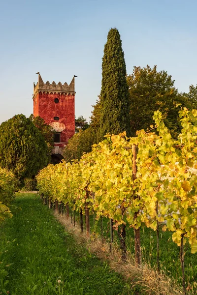 Beautiful Landscape Castle Background — Stock Photo, Image