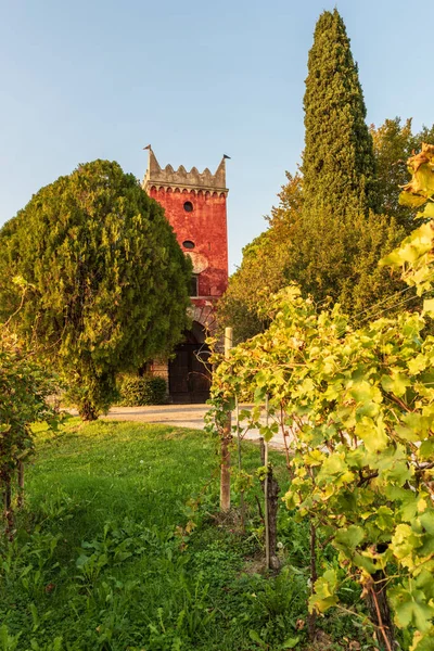 Bella Vista Dell Antico Castello Medievale Nella Città San Gimignano — Foto Stock