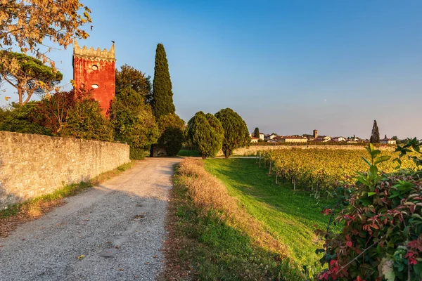 Schöner Blick Auf Die Alte Mittelalterliche Burg Der Stadt — Stockfoto