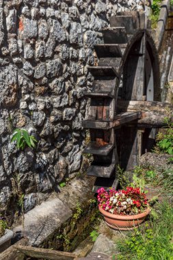 Doğanın ve çiçeklerin güzel manzarası
