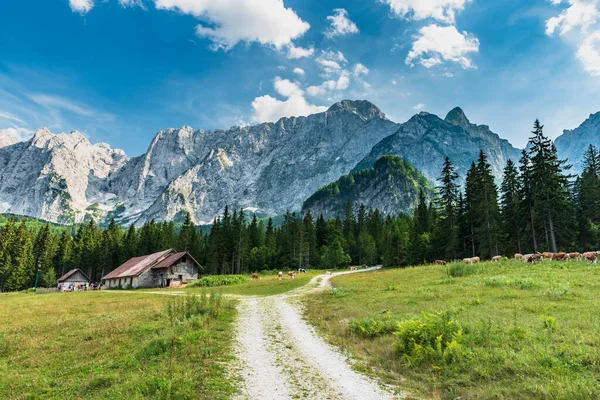 山の中の美しい風景 Conca Fusine イタリア — ストック写真