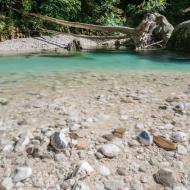 Crosis Tarcento İtalya 'nın güzel şelaleleri