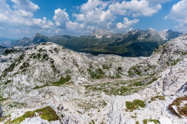 Canin Dağı yaylası. Karst bahçesi. Kayalar, çiçekler, doğa manzarası 