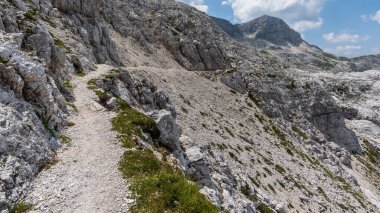 Canin Dağı yaylası. Karst bahçesi. Kayalar, çiçekler, doğa manzarası 