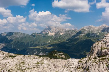 Canin Dağı yaylası. Karst bahçesi. Kayalar, çiçekler, doğa manzarası 