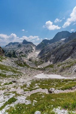 Canin Dağı yaylası. Karst bahçesi. Kayalar, çiçekler, doğa manzarası 