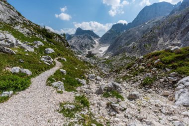 Canin Dağı yaylası. Karst bahçesi. Kayalar, çiçekler, doğa manzarası 