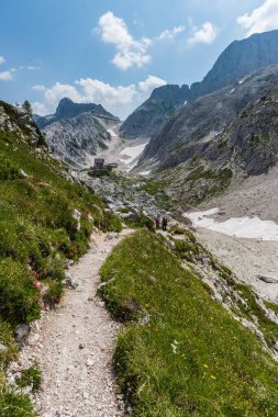 Canin Dağı yaylası. Karst bahçesi. Kayalar, çiçekler, doğa manzarası 