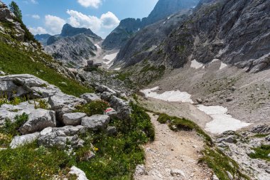 Canin Dağı yaylası. Karst bahçesi. Kayalar, çiçekler, doğa manzarası 