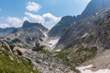 Canin Dağı yaylası. Karst bahçesi. Kayalar, çiçekler, doğa manzarası 