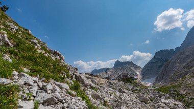 Canin Dağı yaylası. Karst bahçesi. Kayalar, çiçekler, doğa manzarası 