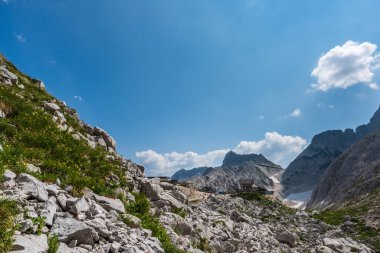 Canin Dağı yaylası. Karst bahçesi. Kayalar, çiçekler, doğa manzarası 