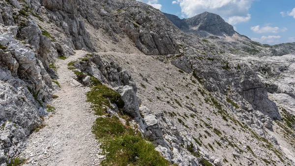Canin Dağı yaylası. Karst bahçesi. Kayalar, çiçekler, doğa manzarası 