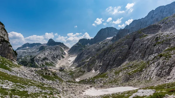Canin Dağı yaylası. Karst bahçesi. Kayalar, çiçekler, doğa manzarası 