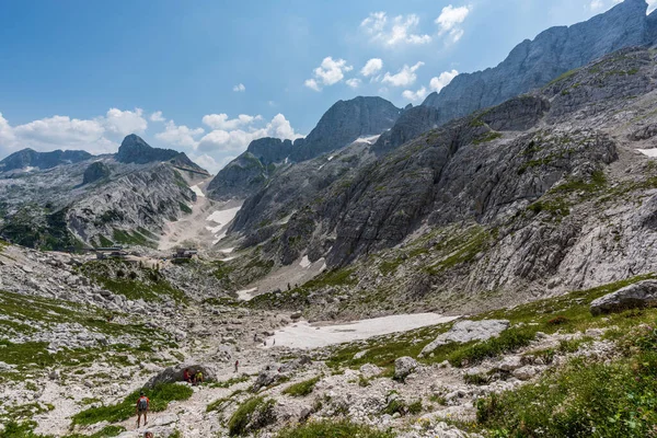 Canin Dağı yaylası. Karst bahçesi. Kayalar, çiçekler, doğa manzarası 
