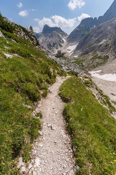 Canin Dağı yaylası. Karst bahçesi. Kayalar, çiçekler, doğa manzarası 