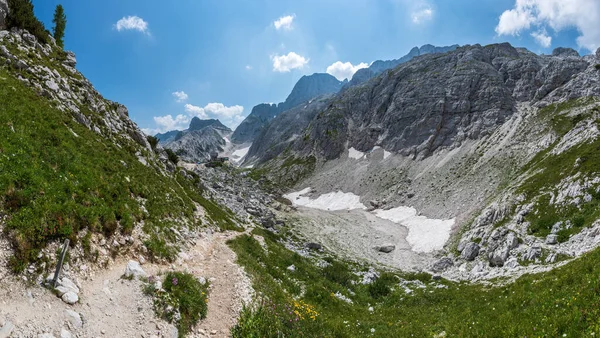 Canin Dağı yaylası. Karst bahçesi. Kayalar, çiçekler, doğa manzarası 