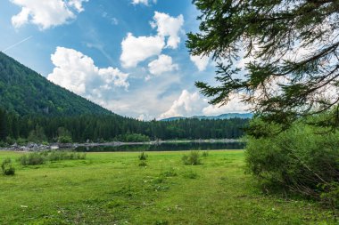 Arka planda bir dağ nehri olan güzel bir manzara.