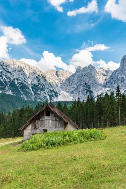 Dağları ve yeşil otları olan güzel bir manzara.