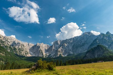 Dağları ve mavi gökyüzü olan güzel bir manzara.