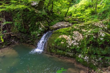 Küçük şelalenin güzel manzarası 
