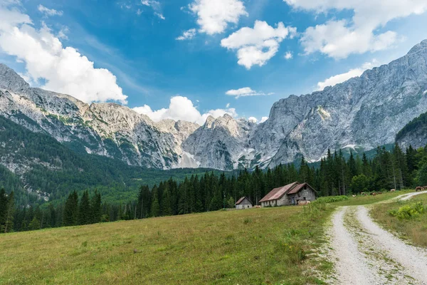 Wunderschöne Landschaft Mit Bergen Und Grünen Bäumen — Stockfoto