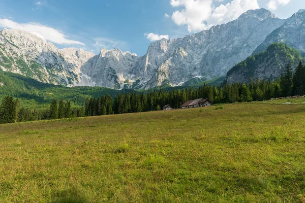 Wunderschöne Landschaft Mit Bergen Und Grünen Bäumen — Stockfoto