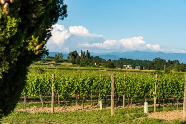 Spessa Şatosu ve Golf Kulübü