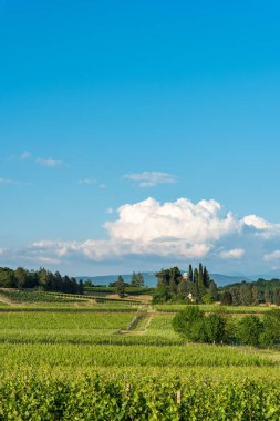 Spessa Şatosu ve Golf Kulübü