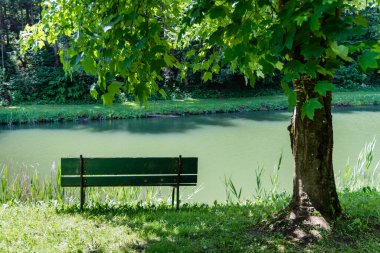 Doğadaki gölün güzel manzarası.