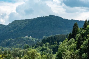 Doğanın arka planında bir dağ olan güzel bir manzara.