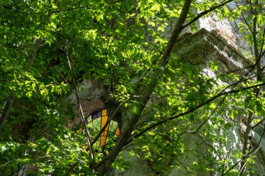 Parkın güzel manzarası