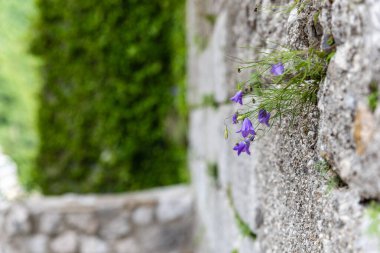 İtalya 'nın Gemona del Friuli kasabası.