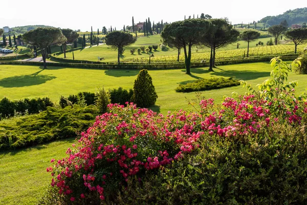 Vacker Utsikt Över Parken Nära Spessa Slott Italien — Stockfoto